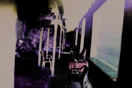 land- und forstwirtschaftlich genutztes Grundstück, Zweifamilienhaus, Garage, Einfamilienhaus in Herdecke - Bild 3