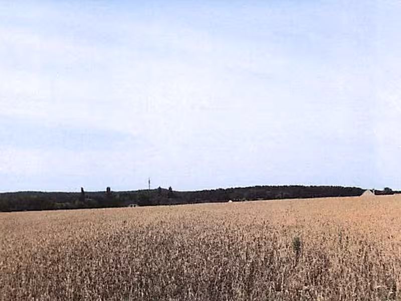 1/2 Anteil an einem Einfamilienhaus in Eisenhüttenstadt - Bild 2