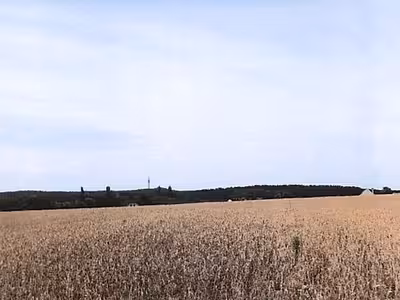 1/2 Anteil an einem Einfamilienhaus in Birkenring 19, 15890 Eisenhüttenstadt OT Diehlo - Bild 2