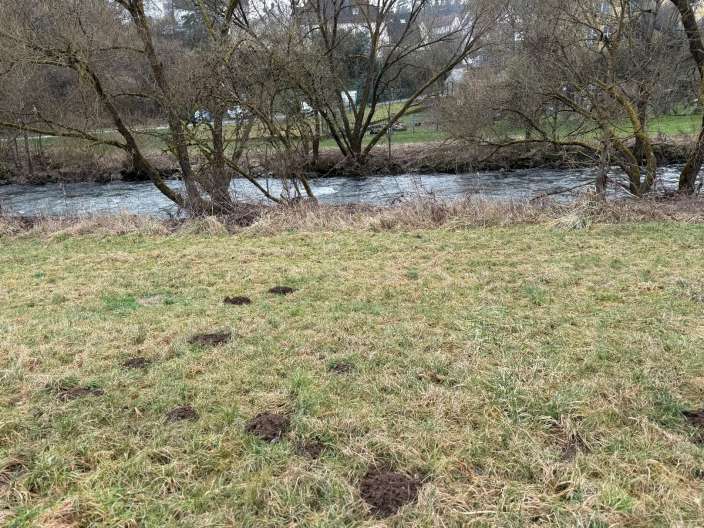 land- und forstwirtschaftlich genutztes Grundstück in Aßlar - Bild 4