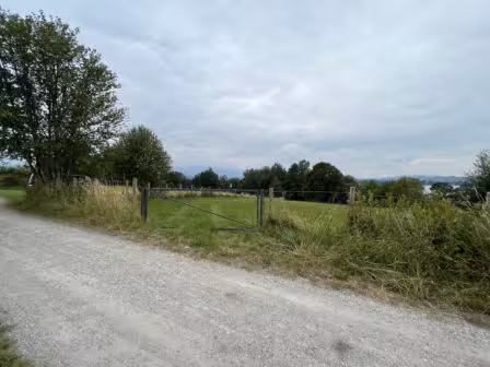 land- und forstwirtschaftlich genutztes Grundstück in Seehausen a. Staffelsee - Bild 17