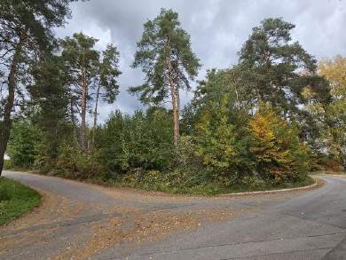 Gewerbegrundstück in Elsendorf - Bild 4