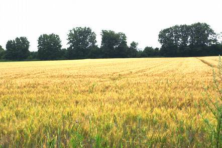 unbebautes Grundstück in Grevenbroich - Bild 3