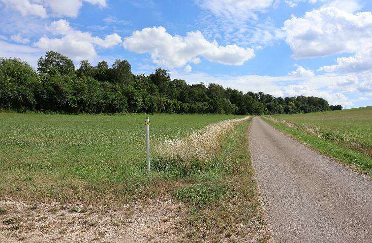 land- und forstwirtschaftlich genutztes Grundstück in Huisheim - Bild 1