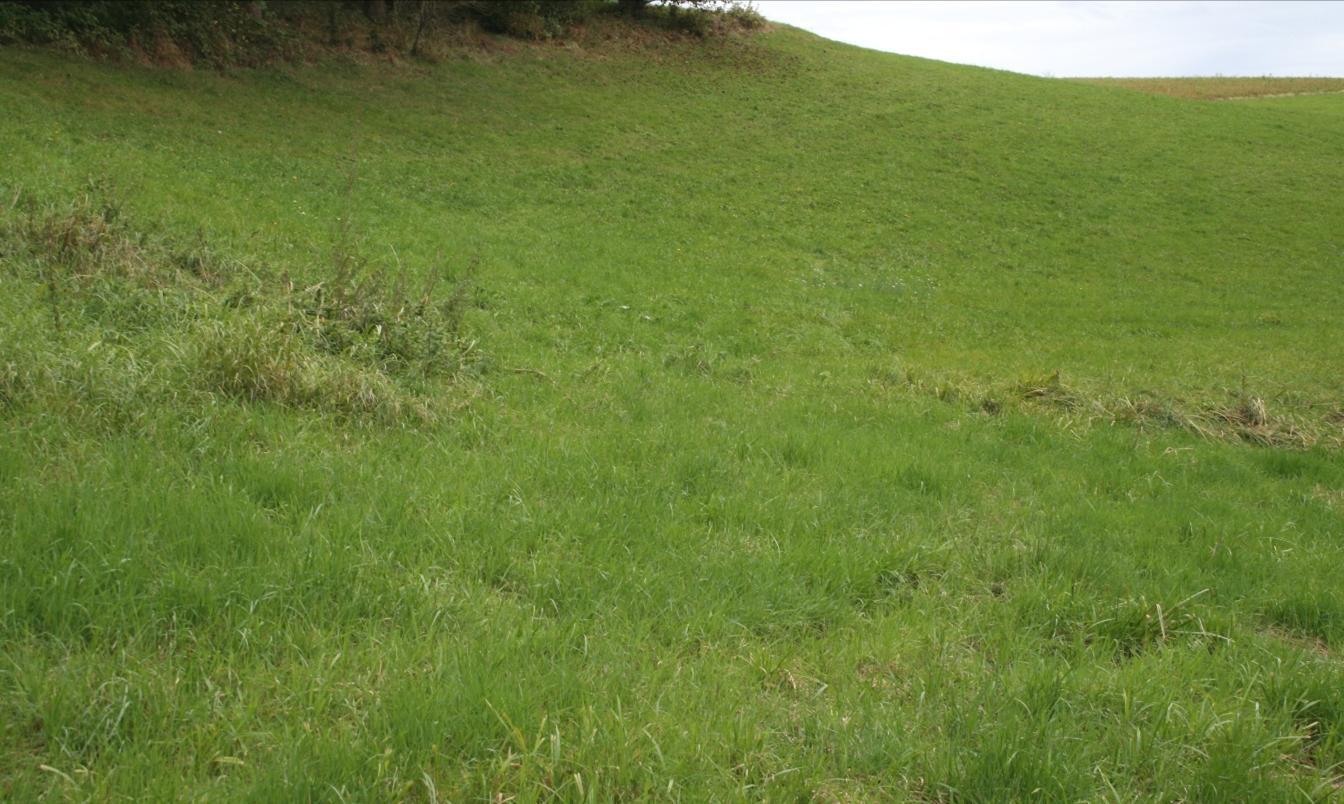 land- und forstwirtschaftlich genutzte Grundstücke in Grattersdorf - Bild 2