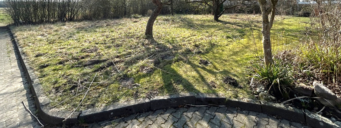 unbebautes Grundstück, Baugrundstück in Münster - Bild 3