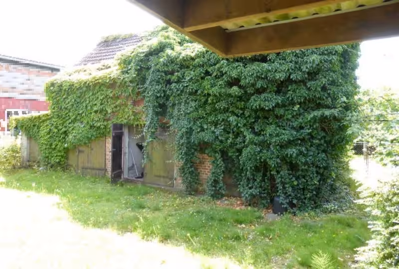 Wohnhaus mit Nebengelass in Ribnitz-Damgarten - Bild 2