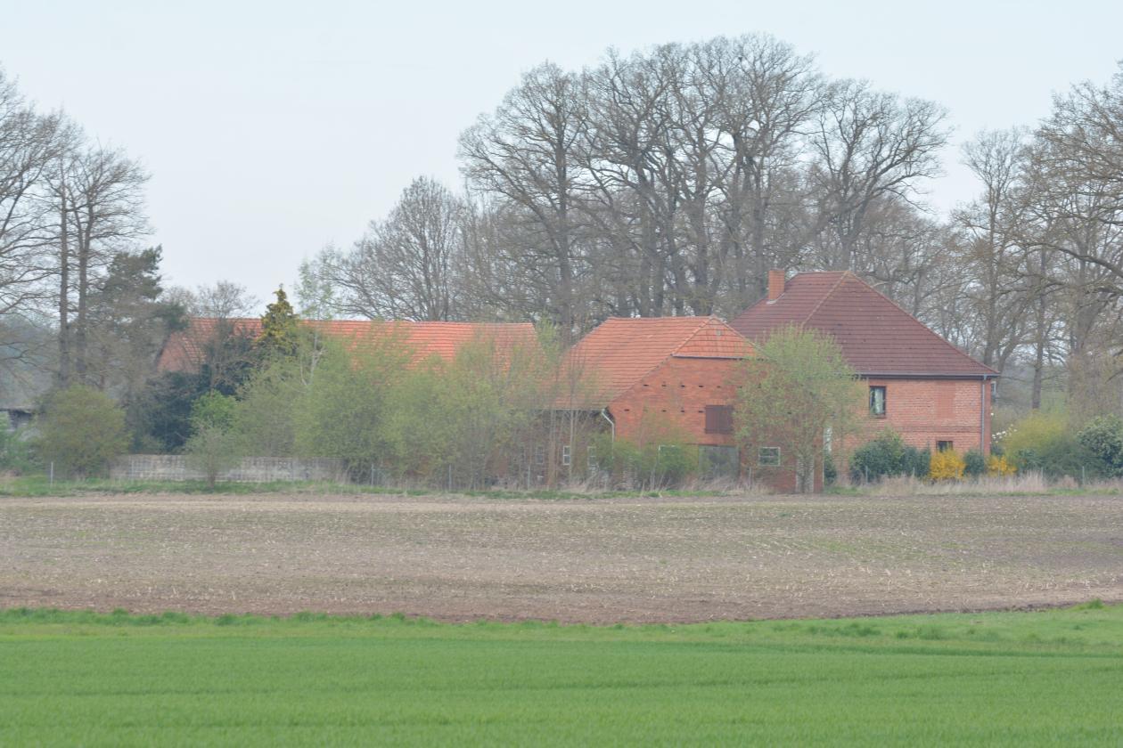 Zweifamilienhaus in Asendorf - Bild 4