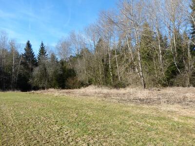 unbebautes Grundstück in Waldferiendorf, 94209 Regen, Kattersdorf - Bild 1