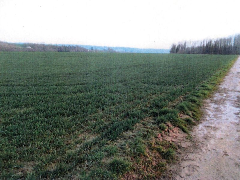 Landwirtschaftsflächen in Neuenstadt - Bild 3