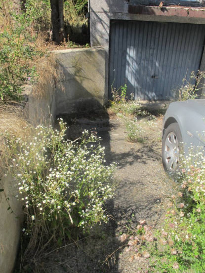 Zweifamilienhaus in Linsingen - Bild 3