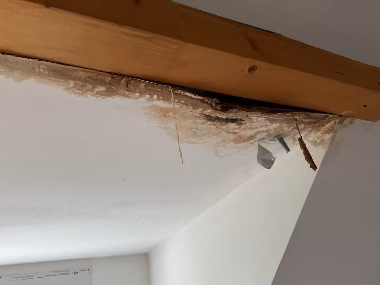 Einfamilienhaus, mit Anbau und Nebengebäuden in Linnich - Bild 12