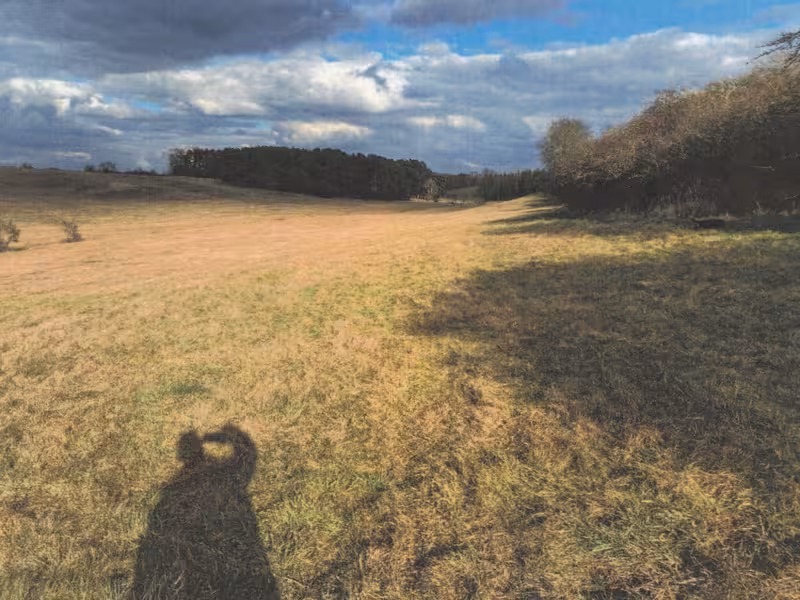 Grünland in Wellmitz - Bild 2