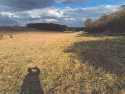 Grünland in , 15898 Neuzelle OT Möbiskruge - Bild 2