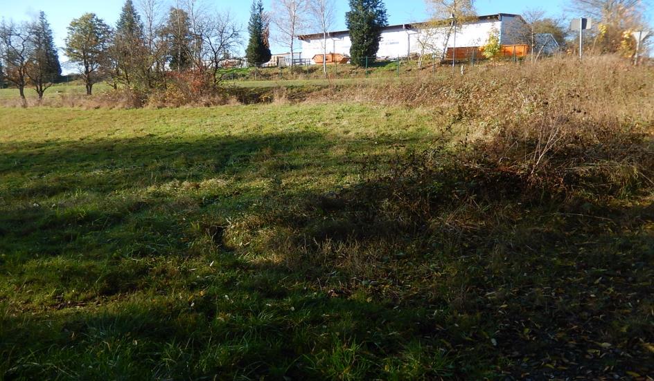 land- und forstwirtschaftlich genutztes Grundstück in Haiger - Bild 2