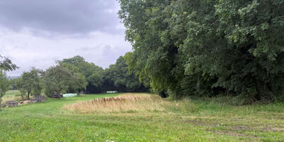 land- und forstwirtschaftlich genutztes Grundstück in Am G´steig, 92345 Dietfurt a. d. Altmühl, Oberbürg - Bild 1