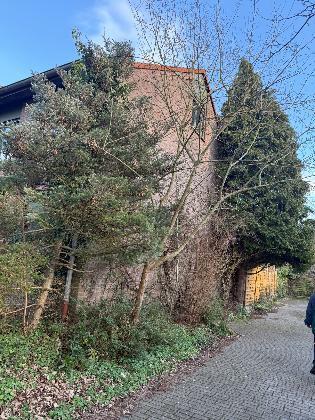 Garage, Einfamilienhaus, Reihenhaus, Gemeinschaftsfläche, Garagenzufahrt in Essen - Bild 4