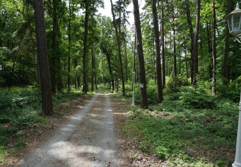 Hotel garni mit 3 Ferienhäusern und Nebengebäuden im Ostseebad Sellin in Sellin - Bild 2