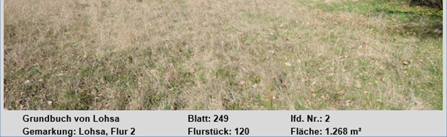 Sonstiges in Lohsa - Bild 2