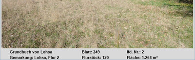 Sonstiges in Alte Bahnhofstraße, 02999 Lohsa - Bild 2
