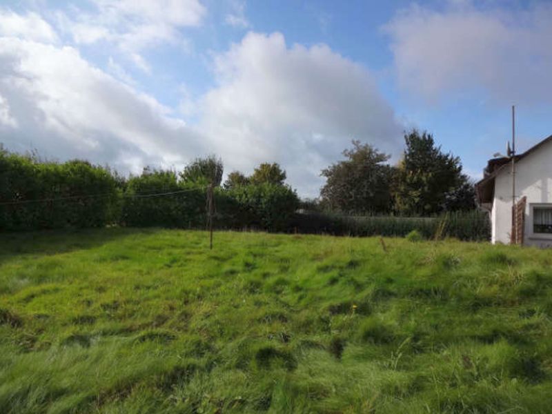 Doppelhaushälfte nebst Garage in Bergenhusen - Bild 3