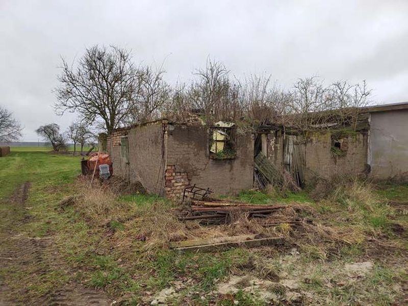 Doppelhaushälfte in Crivitz - Bild 3