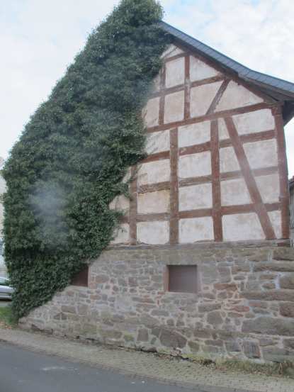 Sonstiges in Momberg - Bild 3