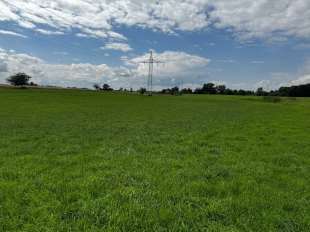 Grünland in Chieming - Bild 4