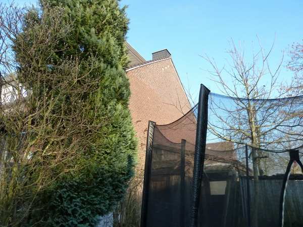 Reihenendhaus mit einem Carport in Ibbenbüren - Bild 4