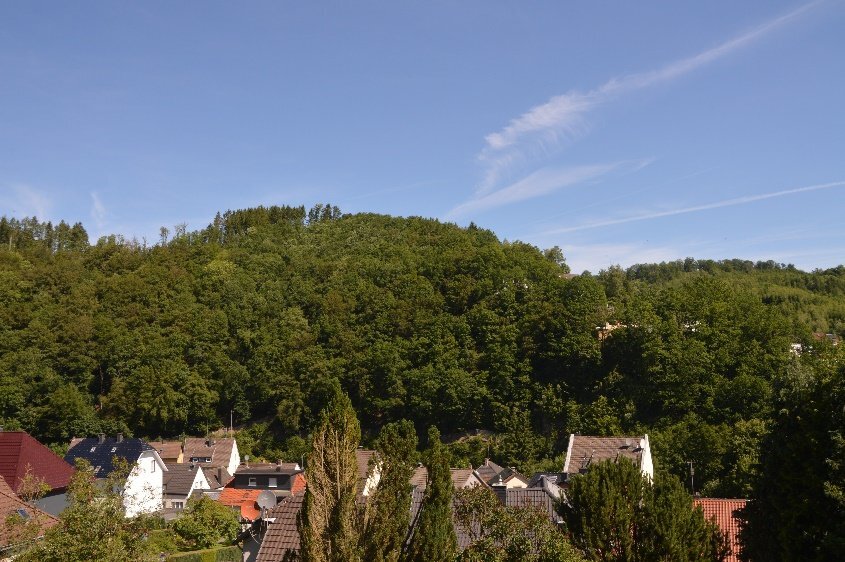 Waldfläche in Werdohl - Bild 1