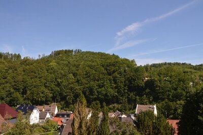 Waldfläche in Mühlenschlad, 58791 Werdohl - Bild 1