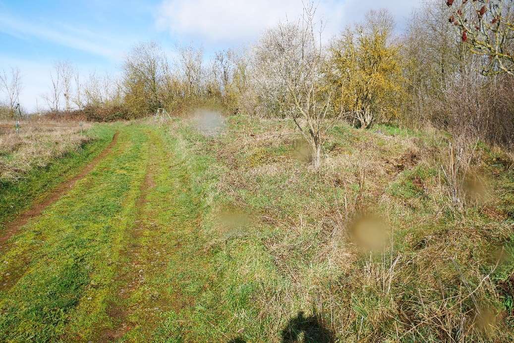 unbebautes Grundstück in Nordhausen - Bild 2