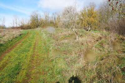 unbebautes Grundstück in Am Nebelungsberg, 99734 Nordhausen, Hesserode - Bild 2