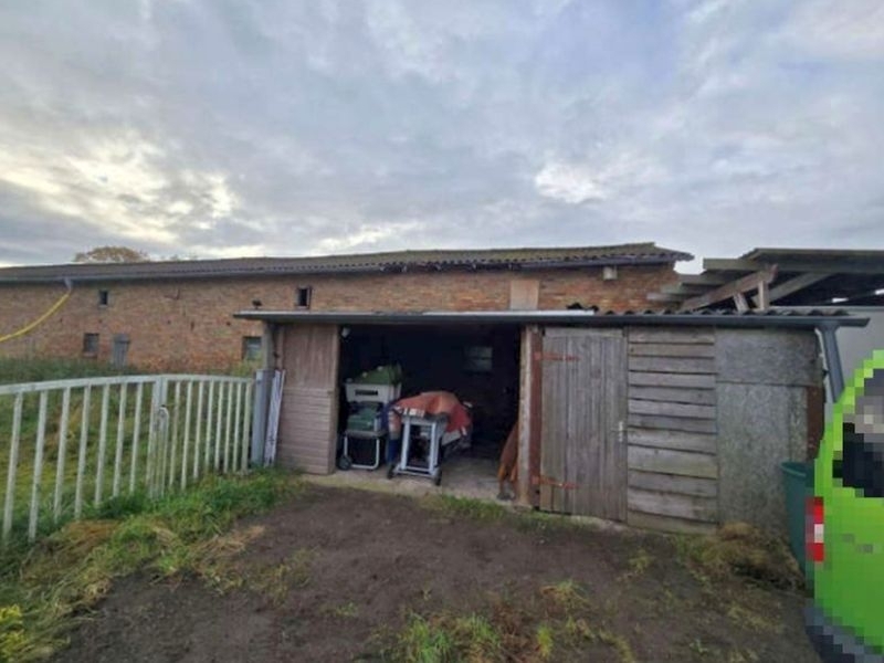 Einfamilienwohnhaus (Reihenendhaus) mit Nebengebäuden in Gelbensande - Bild 3