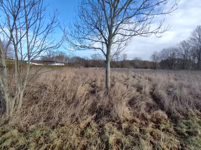 Mehrere Grundstücke der Land-/Forstwirtschaft in , 18528 Bergen auf Rügen OT Zirsevitz - Bild 1