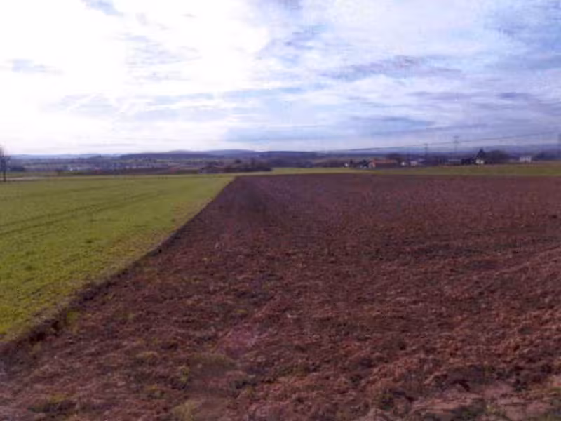 Landwirtschaftsflächen in Ludwigsburg - Bild 2