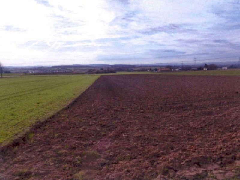 Landwirtschaftsflächen in Ludwigsburg - Bild 2