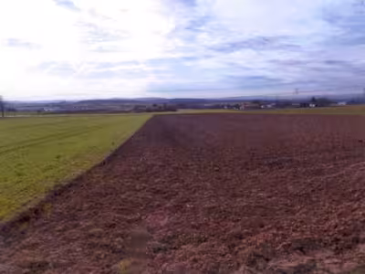 Landwirtschaftsflächen in , 71642 Ludwigsburg-Poppenweiler - Bild 2