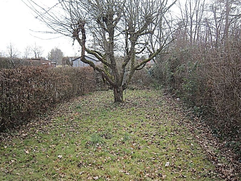 Erbbaurecht, Reihenmittelhaus und separate Garage in Parksiedlung - Bild 3