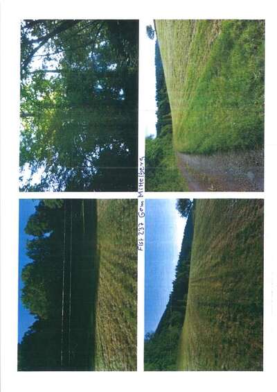 siehe Beschreibung in Fischbacher Leite, 96472 Rödental, Mittelberg - Bild 2