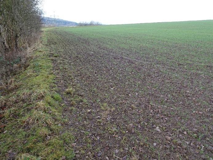 land- und forstwirtschaftlich genutztes Grundstück in Uslar - Bild 1