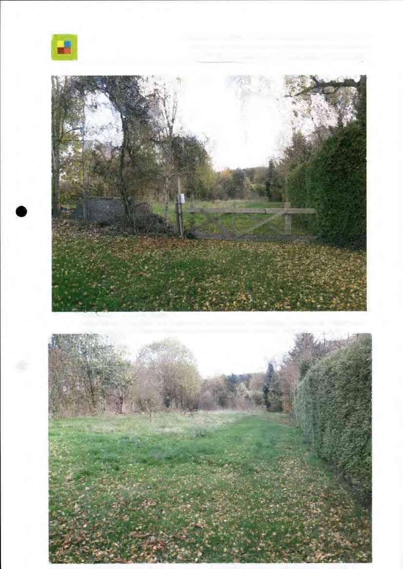 unbebautes Grundstück in Englmannsberg - Bild 1