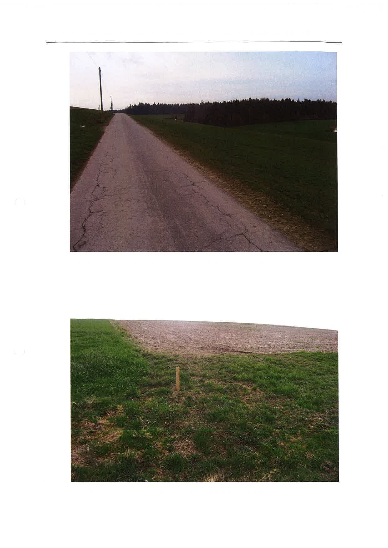 land- und forstwirtschaftlich genutztes Grundstück in Rappenhof - Bild 3