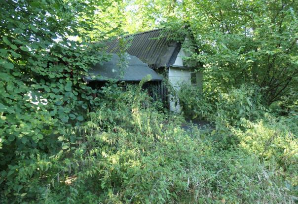Einfamilienhaus, unbebautes Grundstück, unbebautes Grundstück, Einfamilienhaus in Greven - Bild 3