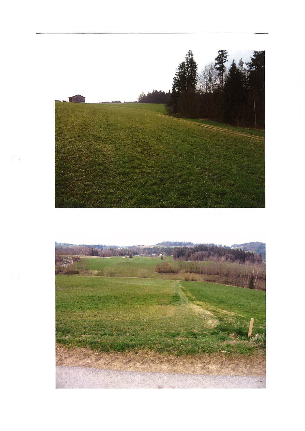 land- und forstwirtschaftlich genutztes Grundstück in Rappenhof - Bild 2