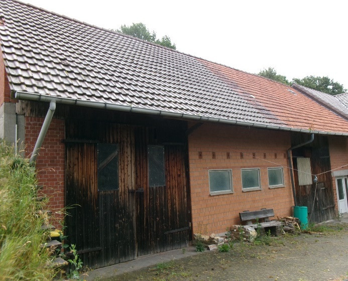 Zweifamilienhaus, land- und forstwirtschaftlich genutztes Grundstück in Glaam - Bild 3