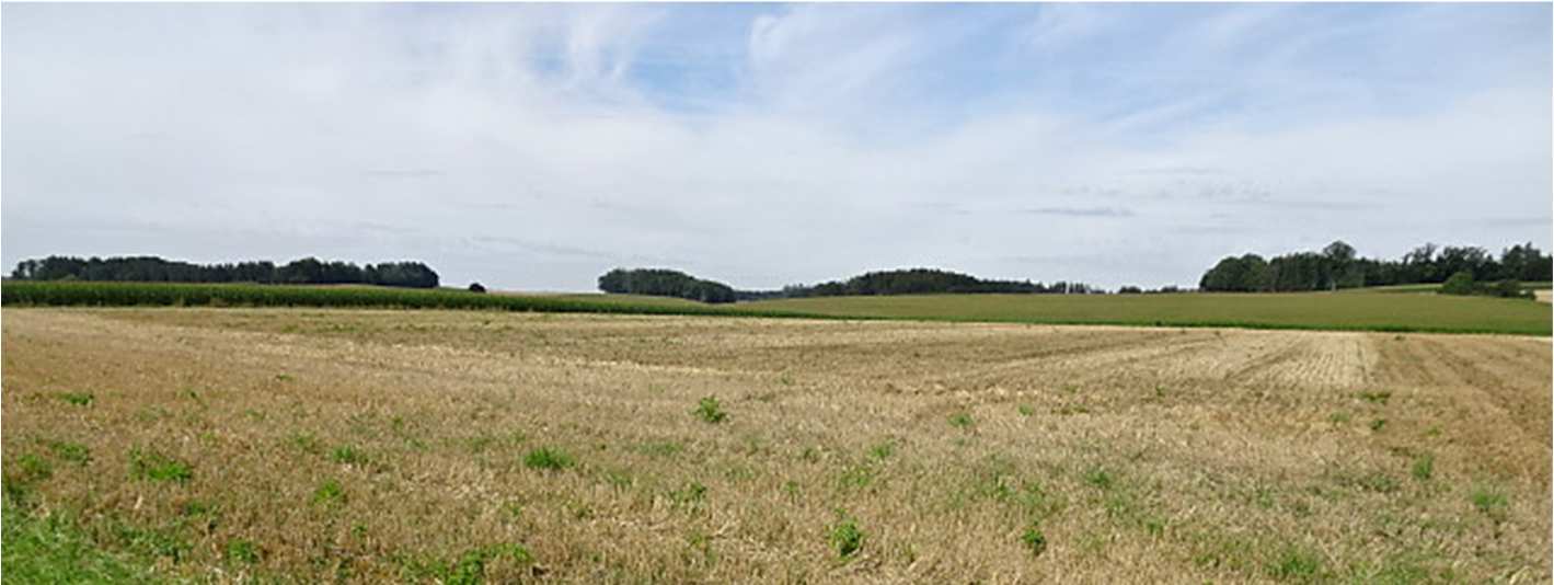 land- und forstwirtschaftlich genutztes Grundstück in null - Bild 4