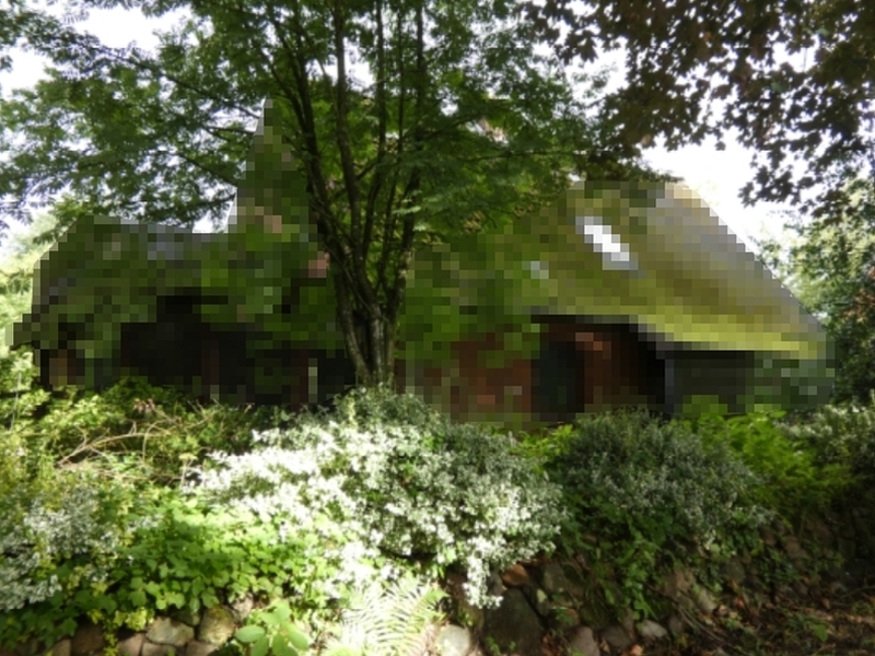 Grundstück (ohne Bauten vom gesonderten Erbbaurecht) in Sankt Michaelisdonn - Bild 1