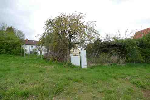 Einfamilienhaus, unbebautes Grundstück in Romrod - Bild 2