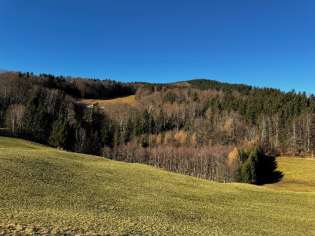 Waldfläche, Landwirtschaftsfläche in Nähe Hochöd, 83454 Anger - Bild 2